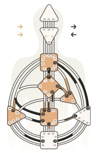 Design Humain coaching Nantes
