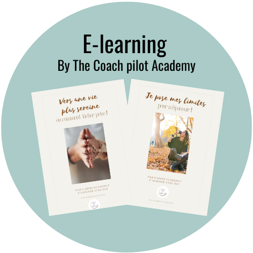 E-learning, formations en autonomie et auto coaching